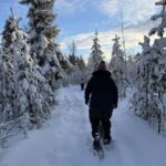 Överkalix - Lapland : Full-Day Snowshoe Tour with Lunch - A Deep Dive into the Snowshoe Experience