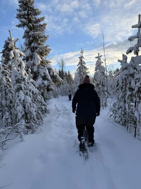 Överkalix - Lapland : Full-Day Snowshoe Tour with Lunch - A Deep Dive into the Snowshoe Experience