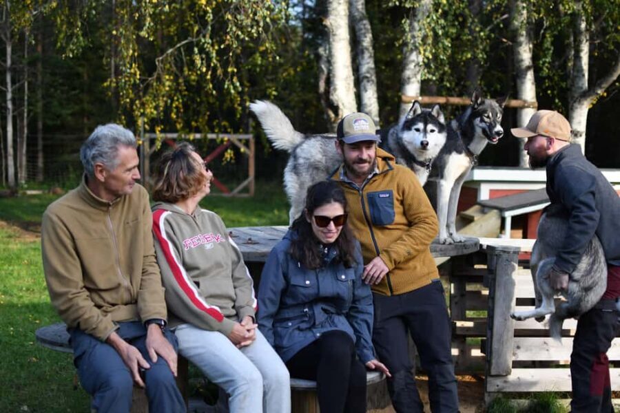 Överkalix - Lapland : Husky Cuddle and Fika Experience - Detailed Breakdown of the Experience