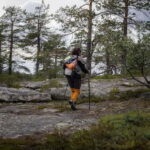 Överkalix - Lapland : Private Summer Hike with Lunch - Why This Tour Provides Real Value