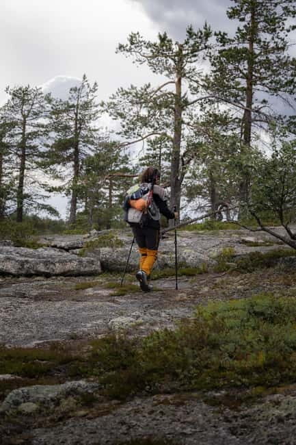 Överkalix - Lapland : Private Summer Hike with Lunch - Why This Tour Provides Real Value