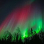 Överkalix - Lapland : Snowmobile Tour with Northern Lights - Who Will Love This Tour?