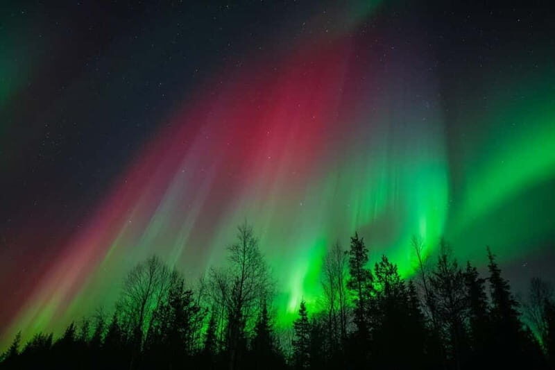 Överkalix - Lapland : Snowmobile Tour with Northern Lights - Who Will Love This Tour?
