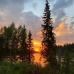 Överkalix - Lapland : Summer Hike and Midnight Sun Dinner - Why This Tour Offers Genuine Value