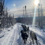 Overnight Dog Sledding Adventure - Frequently Asked Questions