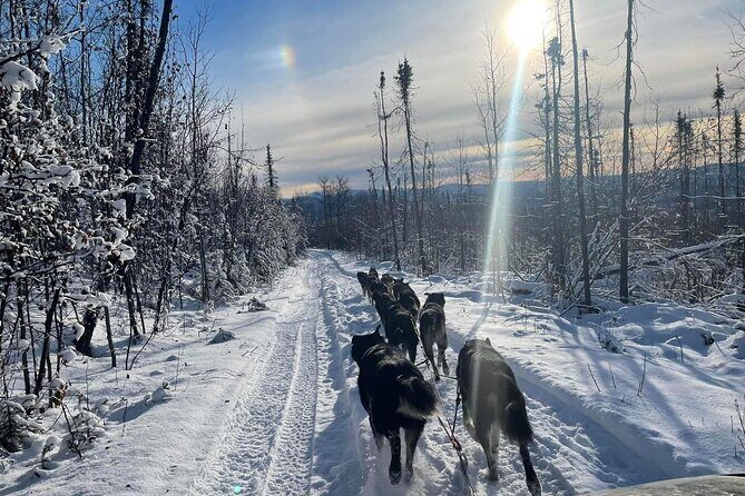 Overnight Dog Sledding Adventure - Frequently Asked Questions