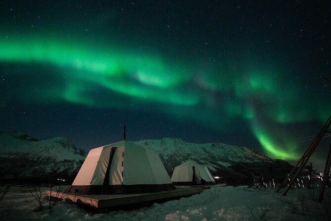 Overnight Stay with Reindeer Sledding & Feeding - A Deep Dive into the Experience
