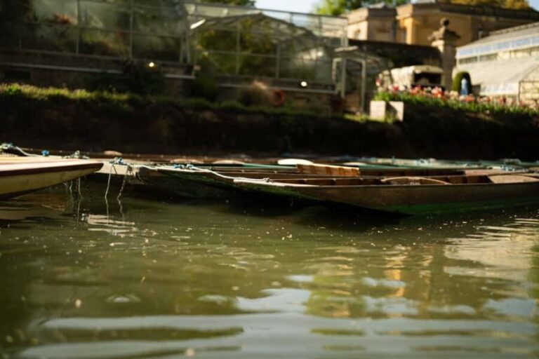 Oxford: Private Punting Tour on the River Cherwell - An In-Depth Look at the Oxford Private Punting Tour
