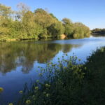 Oxford: Sightseeing Boat Cruise with Prosecco - Who Will Love This Tour?