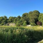 Oxford: to Cotswolds (Half Day) - Why This Tour Offers Great Value