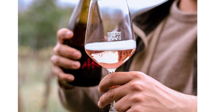 Ozzano Emilia: Guided Cellar Walking Tour with Wine Tasting - Exploring the Details: What You Can Expect from This Tour