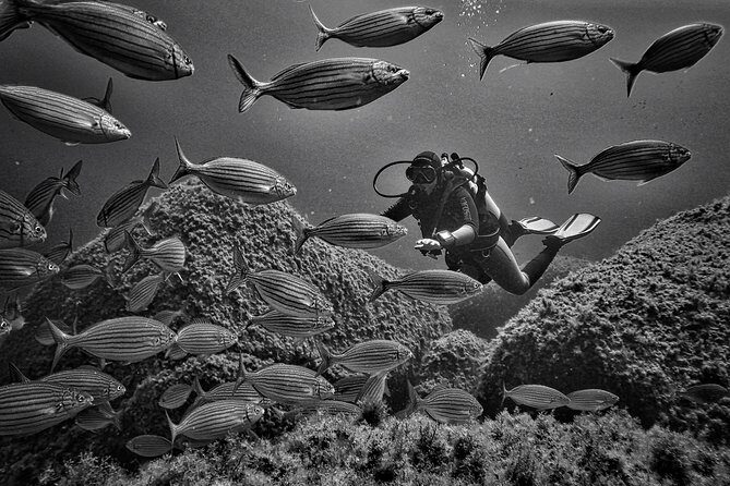 Package of 2 double dives in the Capo Carbonara Marine Protected Area - Analyzing the Cost and Value