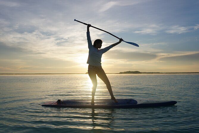 Paddle at Dawn with visit to Cenotes and Islands - The Sum Up