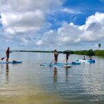 Paddle Board or Kayak Eco Dolphin Manatee Tour - The Value of This Eco Tour