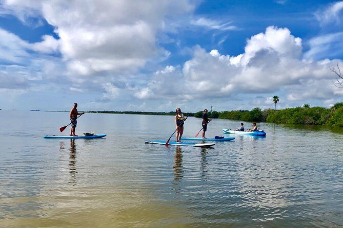 Paddle Board or Kayak Eco Dolphin Manatee Tour - The Value of This Eco Tour