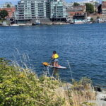 Paddle the heart of downtown Victoria - Exploring Victoria from the Water: A Deep Dive into the Tour