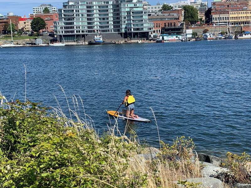 Paddle the heart of downtown Victoria - Exploring Victoria from the Water: A Deep Dive into the Tour