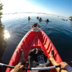 Paddleboard or kayak sunrise tour in Bacalar lagoon - What’s Included and What to Consider