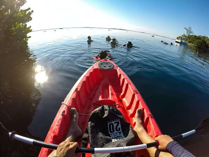 Paddleboard or kayak sunrise tour in Bacalar lagoon - What’s Included and What to Consider