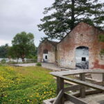 Paddling tour to the Historical Cole Island - Victoria BC - Exploring Victoria BC’s Coastal Secrets: Our Detailed Review