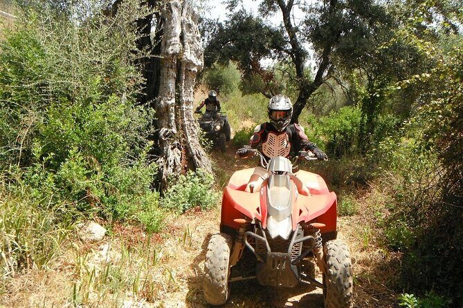 Paderne Adventure Quad Ride - An In-Depth Look at the Paderne Quad Adventure