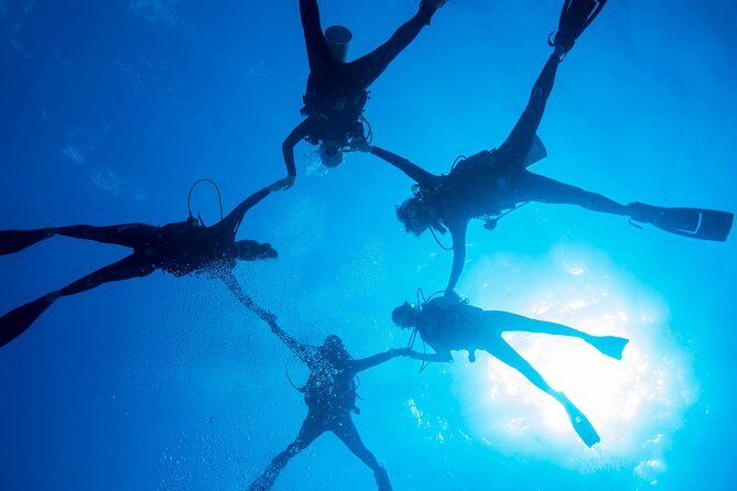PADI Discover Scuba Diving - Why This Tour Offers Great Value