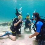 PADI Discover Scuba Diving: at Hol Chan Marine Reserve - Who Will Love This Tour?