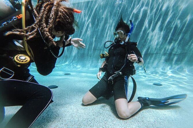 PADI Open Water Course in Cabo San Lucas - Final Thoughts: Who Is This Tour Best For?