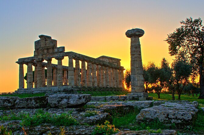 Paestum and Dairy day tour from Naples - FAQ