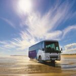 Paihia: Cape Reinga and Ninety Mile Beach Trip with Lunch - The Sum Up