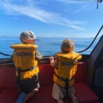 Paihia: Glass Bottom Boat Tour to the Hole in the Rock - An In-Depth Look at the Glass Bottom Boat Tour