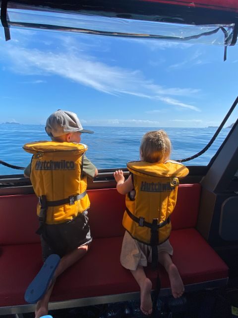 Paihia: Glass Bottom Boat Tour to the Hole in the Rock - An In-Depth Look at the Glass Bottom Boat Tour