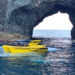Paihia: Hole in the Rock Fast Boat Ocean Adventure - The Speed and Ride