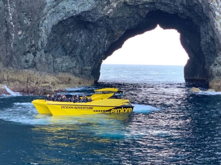 Paihia: Hole in the Rock Fast Boat Ocean Adventure - The Speed and Ride