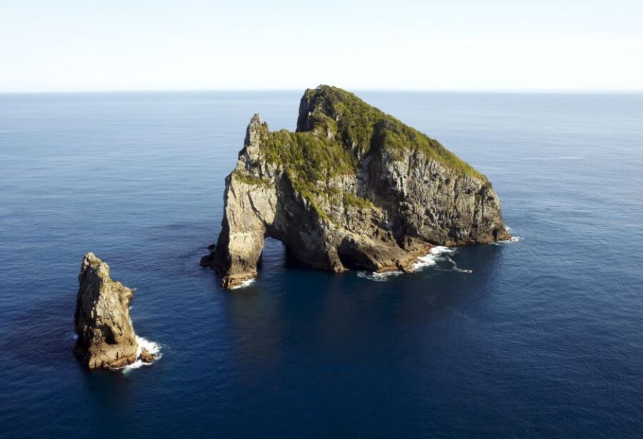 Paihia/Russell: Hole in the Rock Cruise with 2 Island Stops - Why This Tour Offers Great Value