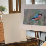 Paint and Sip in kent - Who Will Love This Experience?