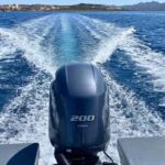 Palau or La Maddalena: southern Corsica 4-hour RIB tour of - A Detailed Look at the Corsican RIB Tour
