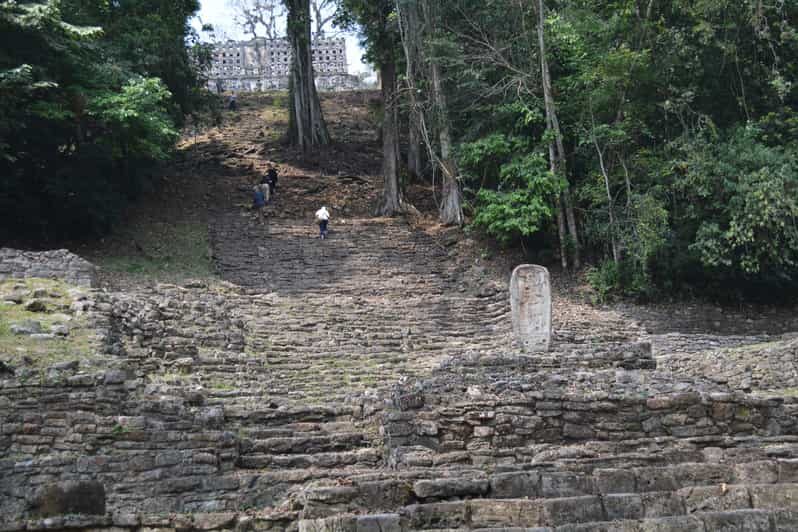 Palenque: 2-Day Lacandon Jungle, Yaxchilan, & Bonampak Trip - The Sum Up