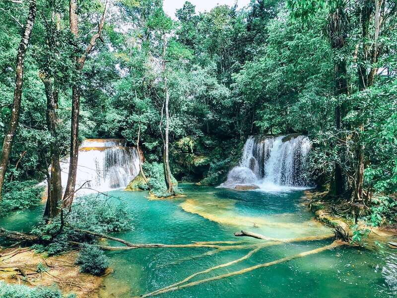 Palenque: Roberto Barrios Waterfall Tour - Who is this tour best suited for?