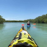 Palenque to San Cristobal. 5-day Jungle Tour + Rafting+Kayak - What Sets This Tour Apart?