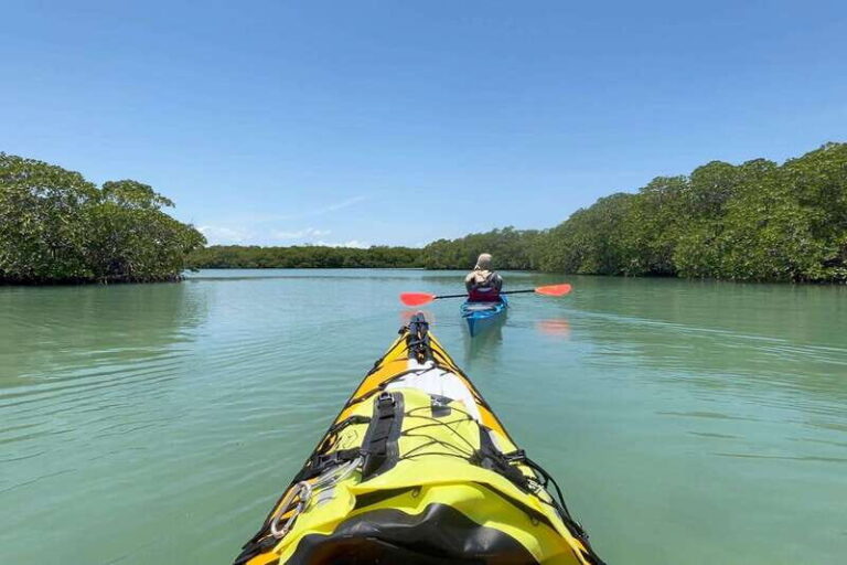 Palenque to San Cristobal. 5-day Jungle Tour + Rafting+Kayak - What Sets This Tour Apart?