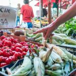 Palermo Walking Tour & Traditional Cooking Class with Wine - A Closer Look at the Palermo Cooking Tour