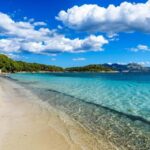 Palma: Alcúdia, Port de Pollença & Cap de Formentor Day Trip - Who Will Love This Tour?