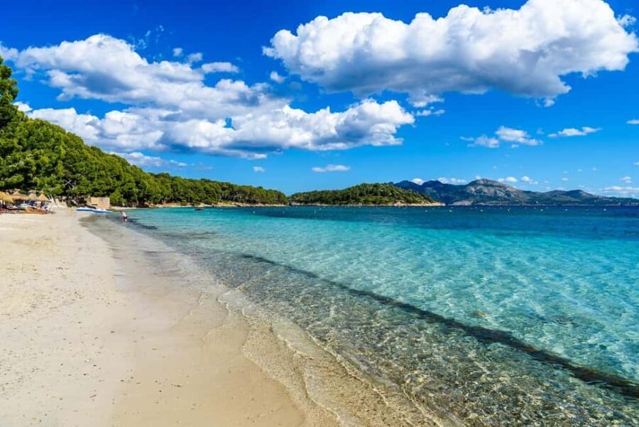 Palma: Alcúdia, Port de Pollença & Cap de Formentor Day Trip - Who Will Love This Tour?