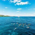 Palma de Mallorca: Daytime Boat Party with Live DJ - In-Depth Breakdown of the Itinerary
