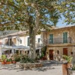 Palma de Mallorca: Son Juliana Wine Experience and Tasting - A Detailed Look at the Son Juliana Wine Experience