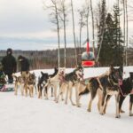Palmer: "Dogs and Glaciers" Sledding and Helicopter Tour - Final Thoughts