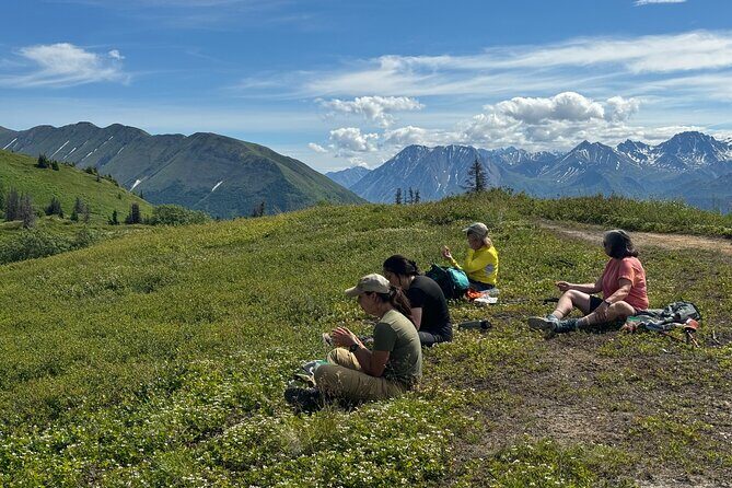 Palmer's Hidden Waterfalls: Full Day Hike - Why This Tour Offers Great Value