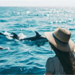 Panama City Beach: Private Dolphin Cruise - The Experience in Detail