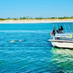 Panama City Beach: Snorkel Excursion with Good Jibez Only - A Close Look at the Experience